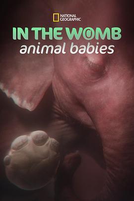 子宫内日记：动物奇遇第一季