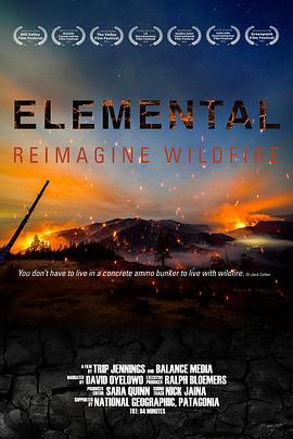 Elemental:ReimagineWildfire